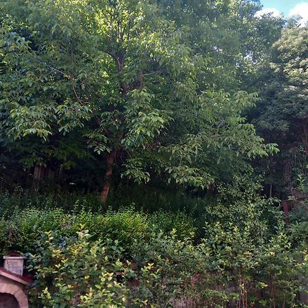 Apartman Turkana 2 Saraybosna Dış mekan fotoğraf
