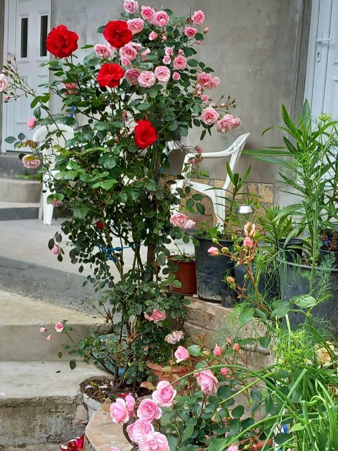 Apartman Turkana 2 Saraybosna Dış mekan fotoğraf